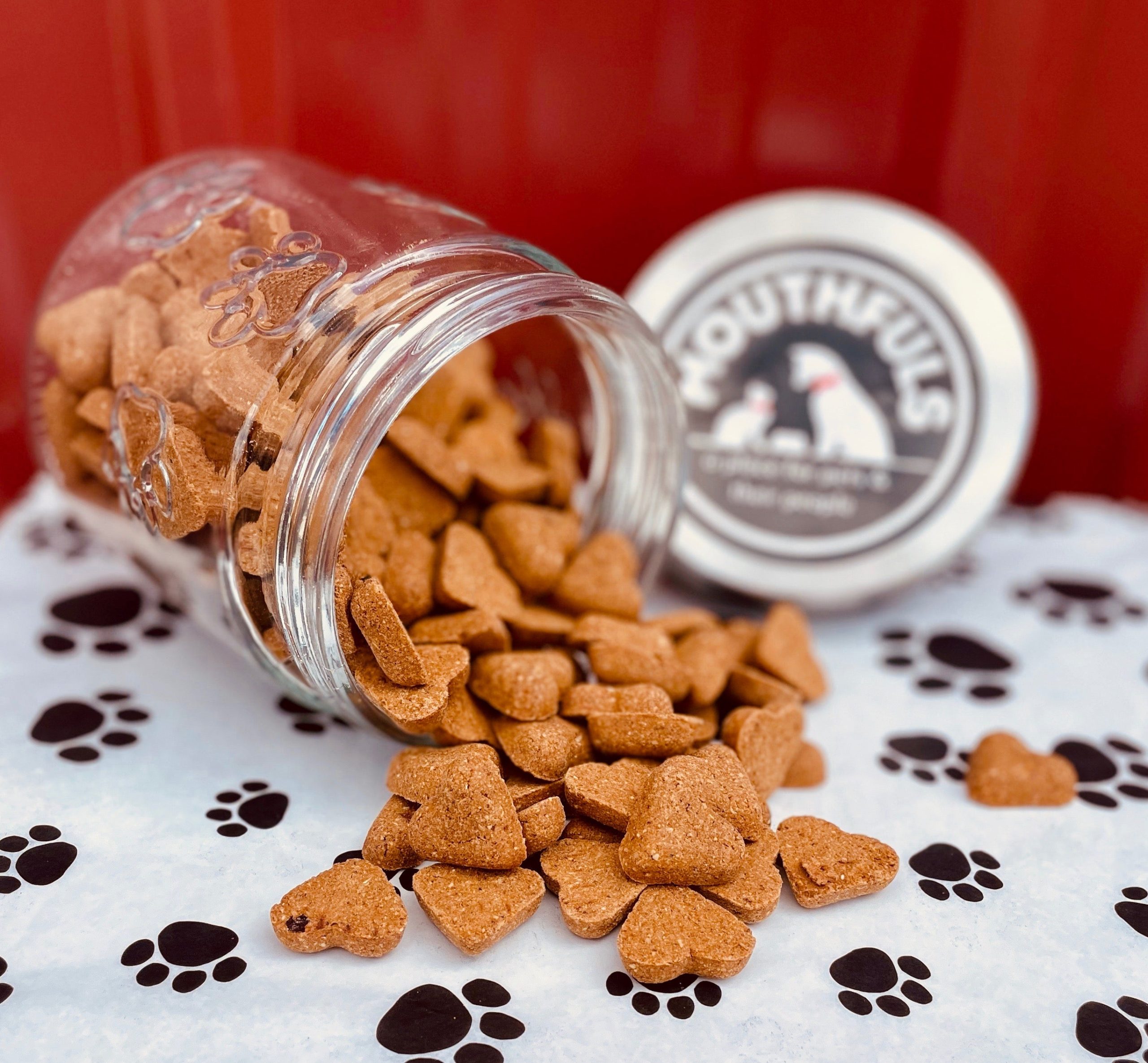Grain Free Bacon Heart Mini Dog Treats