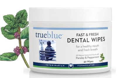 Fast and Fresh Dental Swipes