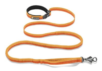 Roamer Bungee Dog Leash