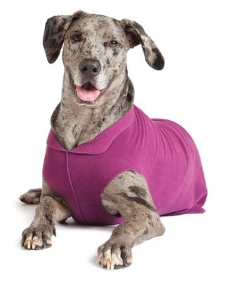 Goldpaw Stretch Fleece - Small Dog - Image 8