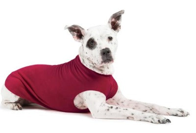 Goldpaw Stretch Fleece - Small Dog - Image 10