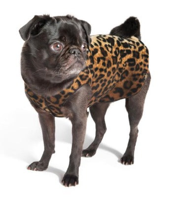 Goldpaw Stretch Fleece - Small Dog - Image 12