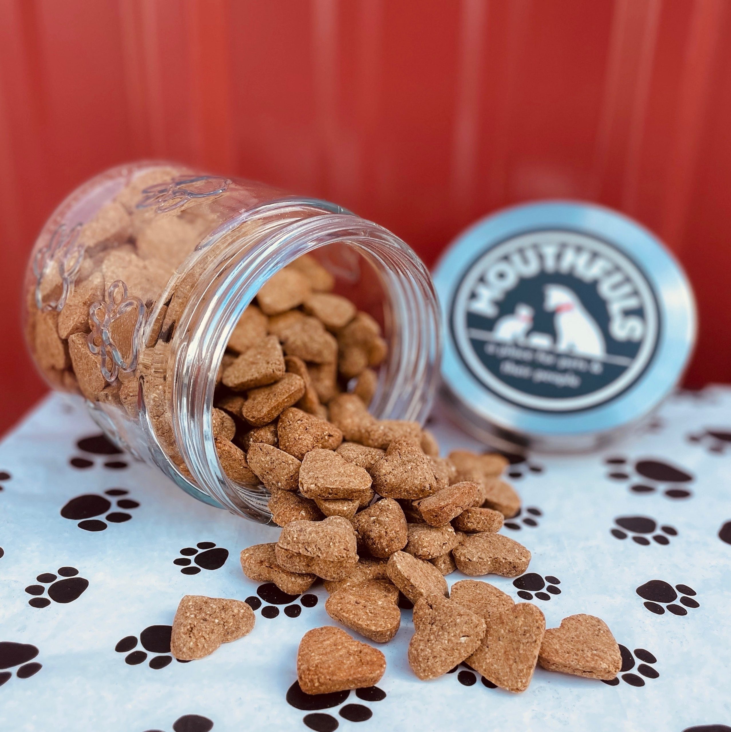 Grain Free Salmon Heart Minis Dog Treats